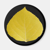 Yellow Aspen Leaf #5