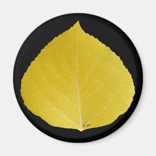 Yellow Aspen Leaf #5 Magnet