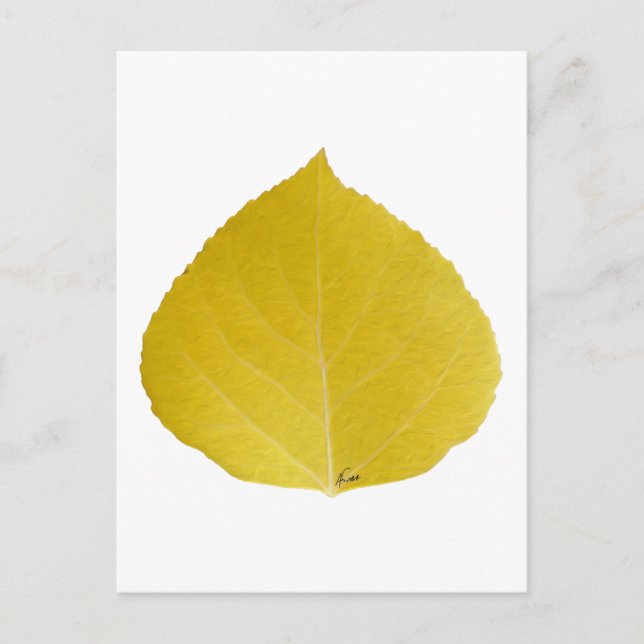 Yellow Aspen Leaf #5 Postcard (Front)