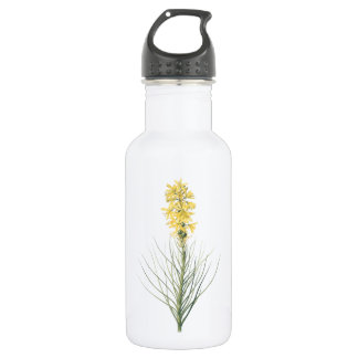yellow asphodel(Asphodelus luteus) by Redouté 532 Ml Water Bottle
