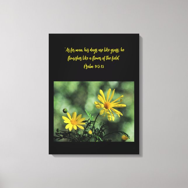 Yellow Aster Wildflowers Canvas Print (Front)