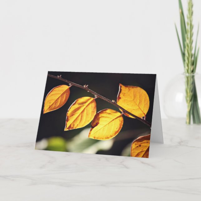 Yellow Autumn Leaves Note Card (Front)