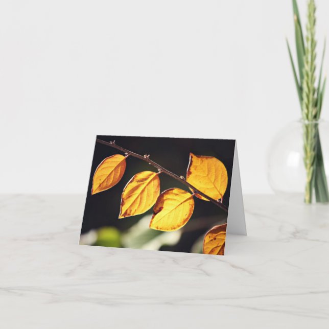 Yellow Autumn Leaves Note Card (Front)