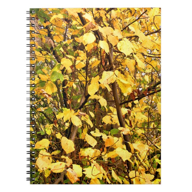 YELLOW AUTUMN LEAVES SPIRAL NOTEBOOK (Front)