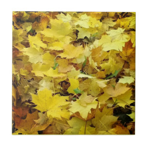 Yellow Autumn Leaves Tile