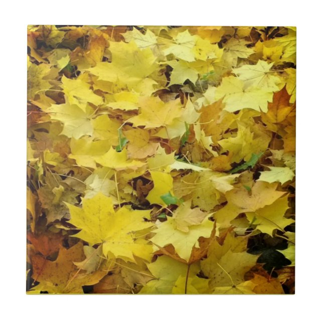 Yellow Autumn Leaves Tile (Front)