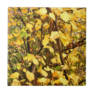 YELLOW AUTUMN LEAVES TILE