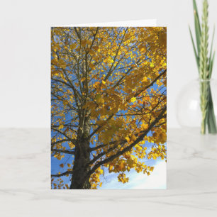 Yellow Autumn Tree Card