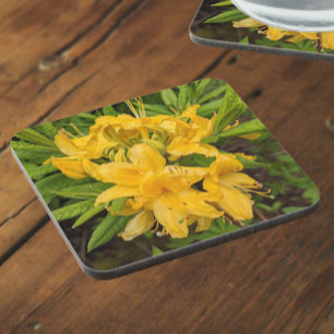 Yellow Azalea Blooms Floral Beverage Coaster