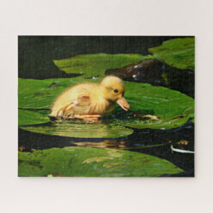 Yellow Baby Duck Floating on Lily Pads Jigsaw Puzzle
