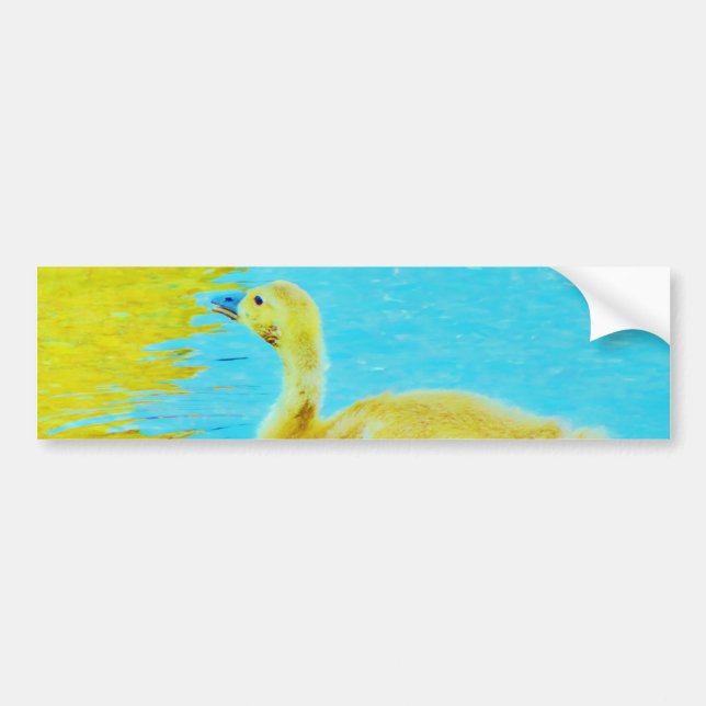 Yellow Baby goose with light blue water Bumper Sticker (Front)