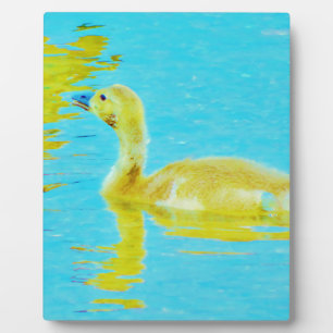 Yellow Baby goose with light blue water Plaque
