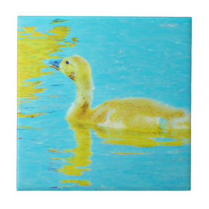 Yellow Baby goose with light blue water Tile