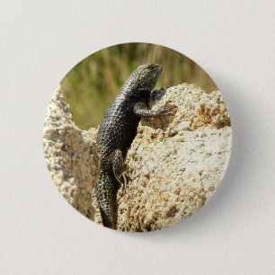 Yellow-Backed Spiny Lizard at Joshua Tree 6 Cm Round Badge