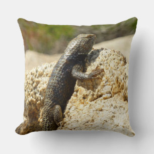 Yellow-Backed Spiny Lizard at Joshua Tree Cushion