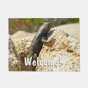 Yellow-Backed Spiny Lizard at Joshua Tree Doormat