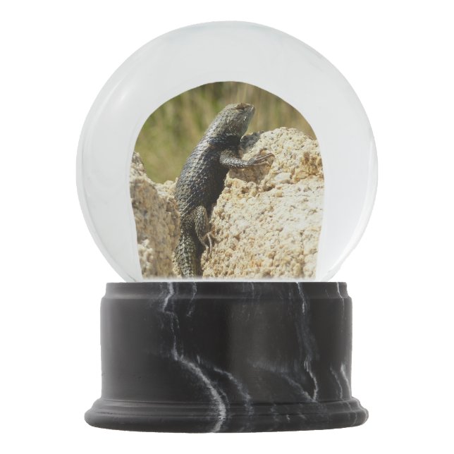 Yellow-Backed Spiny Lizard at Joshua Tree Snow Globe (Front)