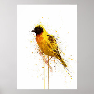 Yellow-Backed Weaver Bird Poster