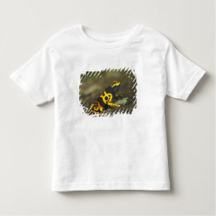 Yellow-banded Poison Dart Frog Dendrobates Toddler T-Shirt