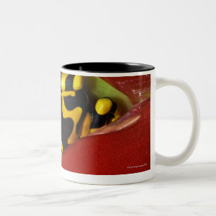 Yellow-banded poison frog Two-Tone coffee mug