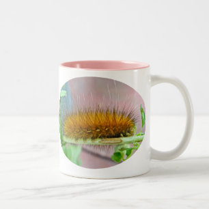 Yellow Bear Caterpillar Virginian Tiger Moth Items Two-Tone Coffee Mug