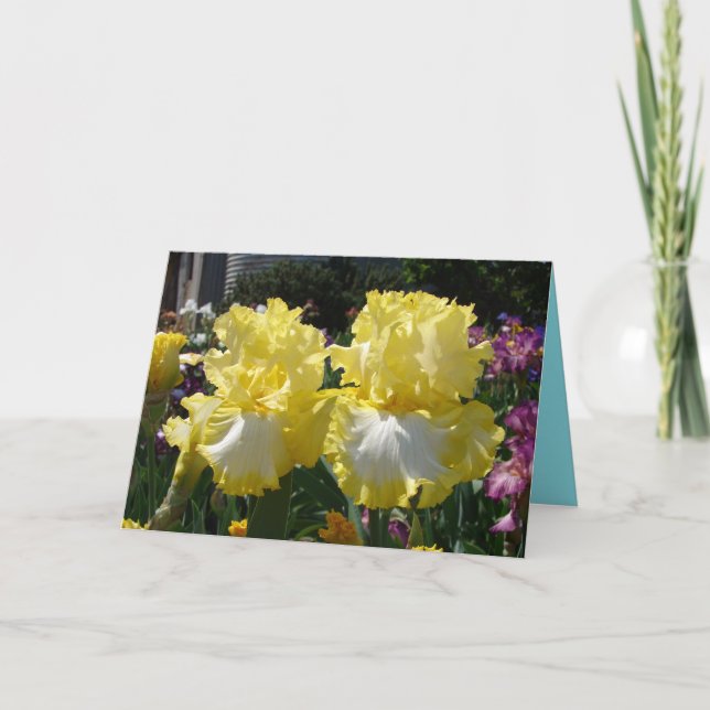 Yellow Bearded Iris floral Flowers Birthday Card (Front)
