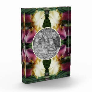 Yellow Bearded Iris Flower Create Your Own Photo Block