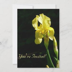 Yellow Bearded Iris Invitation