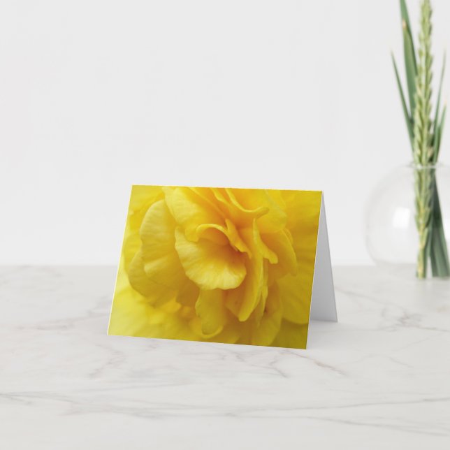 Yellow begonia notecard (Front)