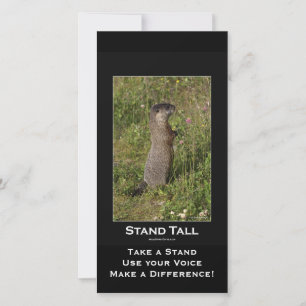 Yellow-Bellied Marmot Card