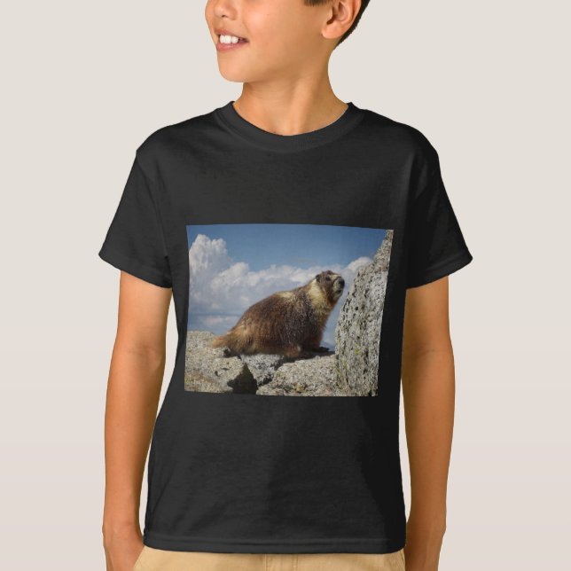 Yellow Bellied Marmot in Yosemite T-Shirt (Front)