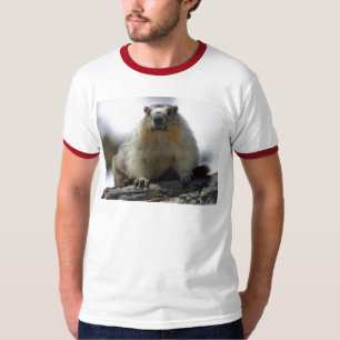 Yellow Bellied Marmot T-Shirt