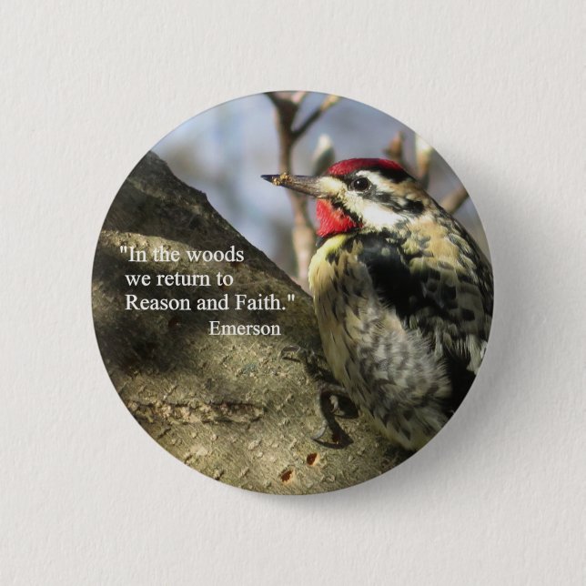 Yellow-bellied Sapsucker button. 6 Cm Round Badge (Front)
