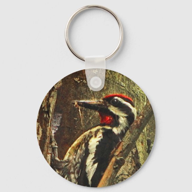 Yellow-bellied Sapsucker Key Ring (Front)