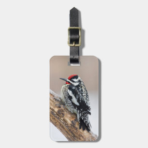 Yellow-bellied Sapsucker male Luggage Tag