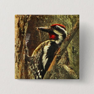 Yellow-bellied Sapsucker Pin