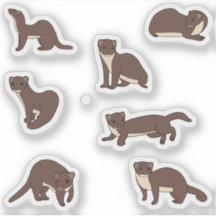Yellow bellied Weasels 