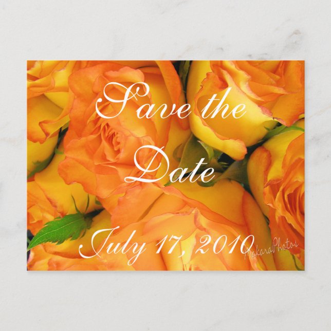 Yellow BiColor Roses- Save the Date-customise Announcement Postcard (Front)