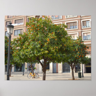Yellow Bike Parked Under Orange Trees in Valencia Poster