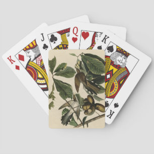 Yellow-billed Cuckoo - Audubon's Birds of America Playing Cards