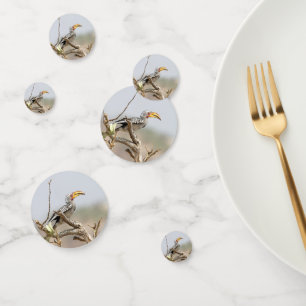 Yellow billed hornbill confetti