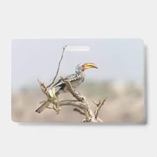 Yellow billed hornbill ID badge