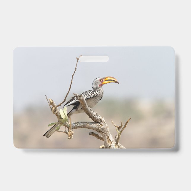 Yellow billed hornbill ID badge (Front)