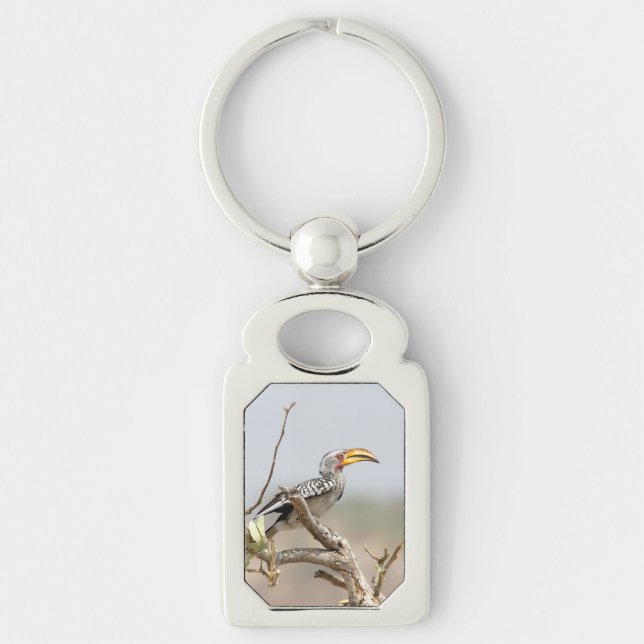 Yellow billed hornbill key ring (Front)