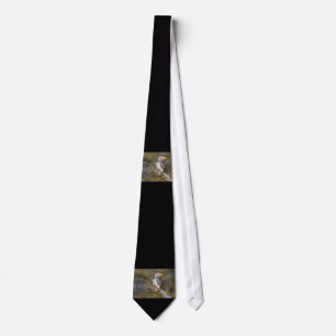 Yellow billed hornbill tie