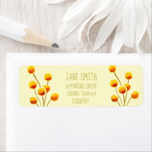 Yellow Billy Button native Australian flower