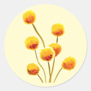 Yellow Billy Button native Australian flower Classic Round Sticker