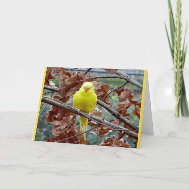 Yellow Bird Blank Greeting Card (Front)