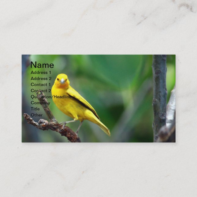 Yellow Bird Business Card (Front)