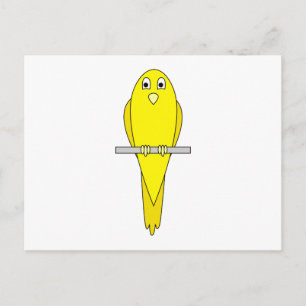 Yellow Bird. Canary. On White. Postcard